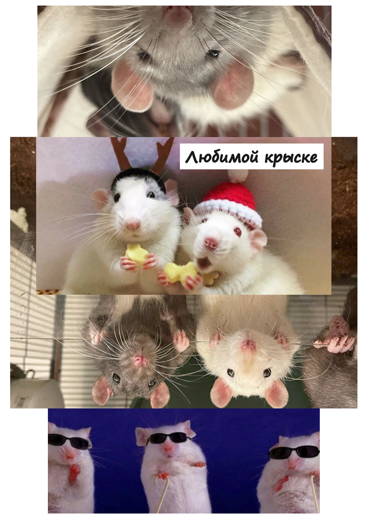 Конверт для денег №41
