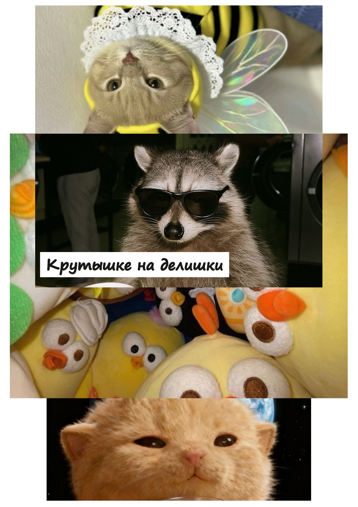 Конверт для денег №39